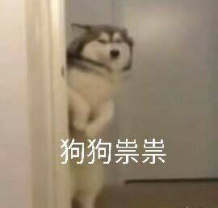 俄罗斯你咋把物资扔下就跑了?不写两句诗吗?