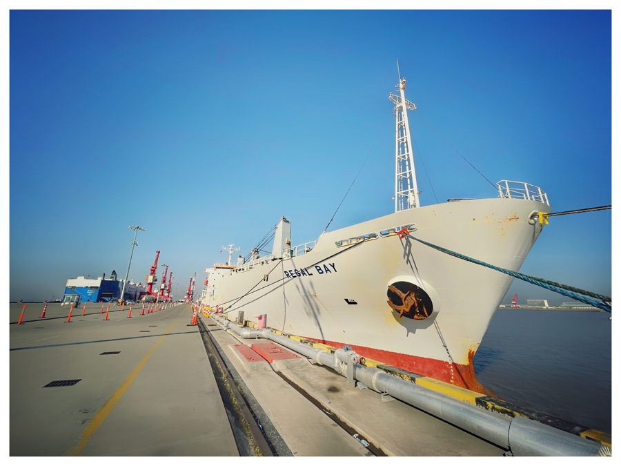 东航物流定制"年货方案" 国内水果行业首艘"车厘子包船"到了!