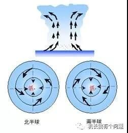 台风气旋示意图,气旋反气旋示意图,气旋雨示意图_大山谷图库