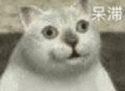 俄罗斯你咋把物资扔下就跑了?不写两句诗吗?